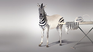 litota-praonica-rublja